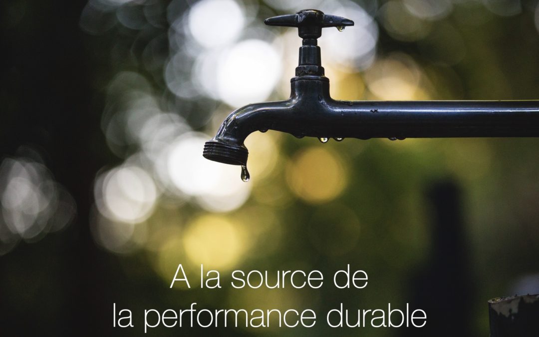 A la source de la performance durable : sécurité psychologique, bienveillance et intelligence collective