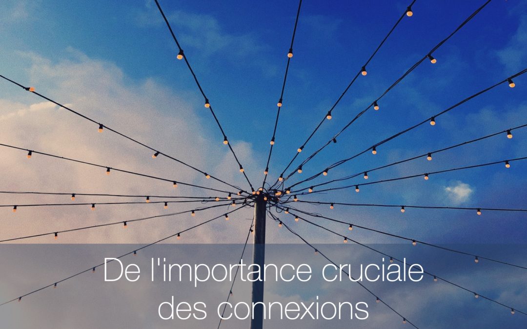 De l’importance cruciale des connexions…